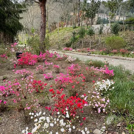 Quinta Fragas Casa 10 Pessoas 公寓 *
