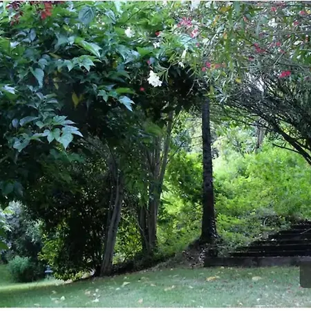 Quinta Fragas Casa 10 Pessoas *