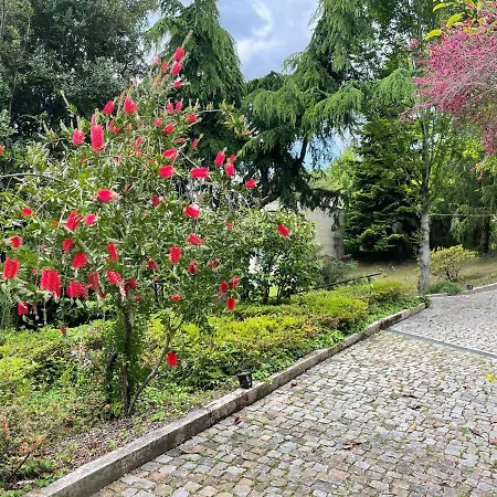 Quinta Fragas Casa 10 Pessoas *