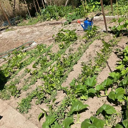 Quinta Fragas Casa 10 Pessoas 公寓 *