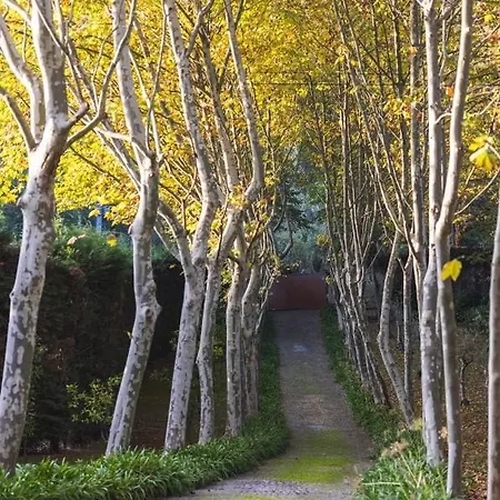 Quinta Fragas Casa 10 Pessoas *