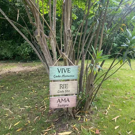 Quinta Fragas Casa 10 Pessoas *